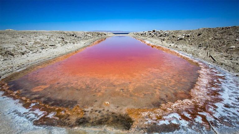 Salton Sea